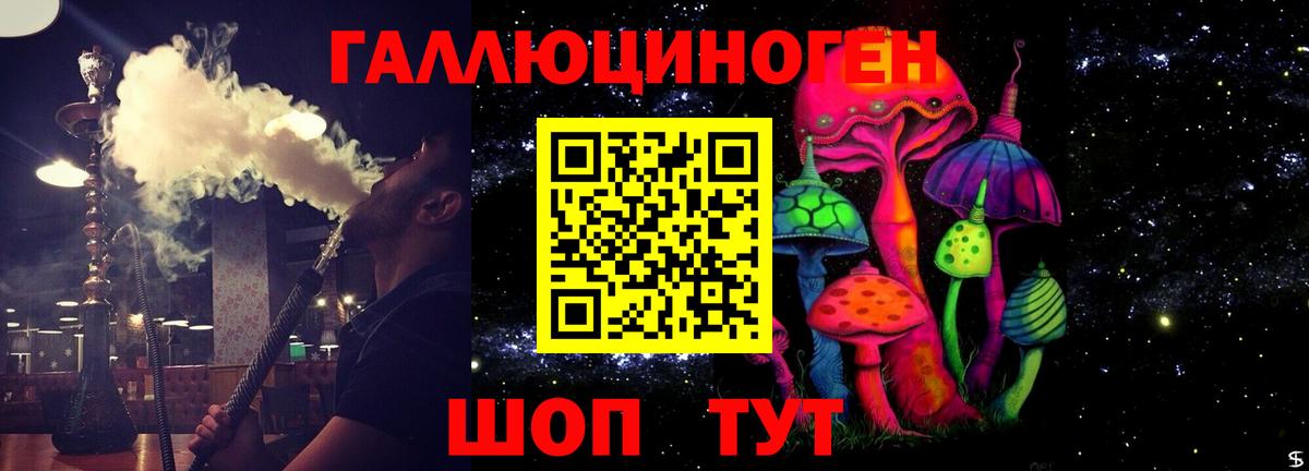 Галлюциногенные грибы Cubensis Углич
