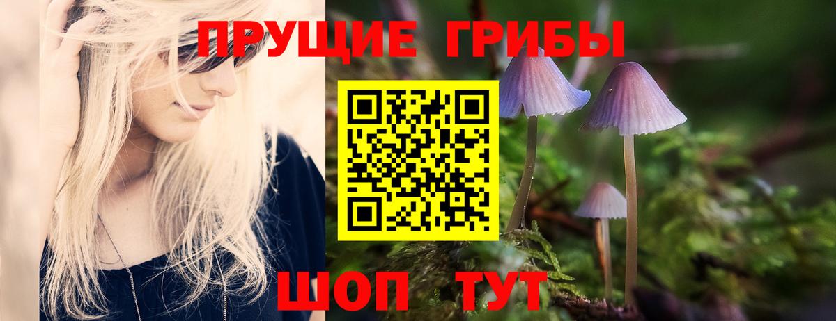 Углич  Галлюциногенные грибы ЛСД  Вход с VPN 